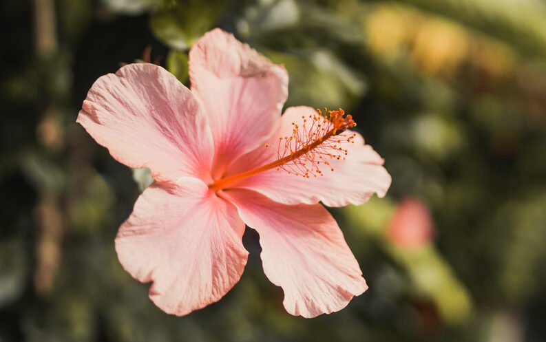 F2434656-9AEC-45FB-A42E-D046409DCF18_1_105_c